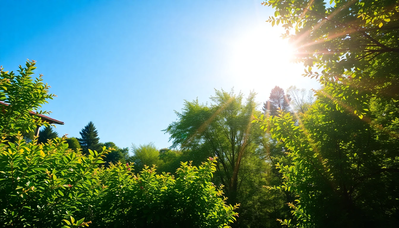 Sunny summer day with clear sky
